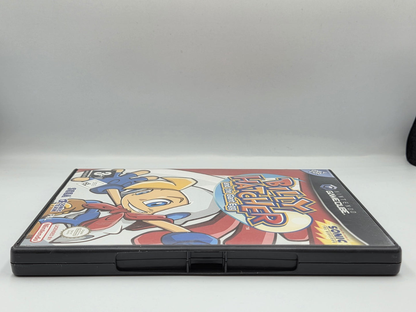 Nintendo GameCube Billy Hatcher and the Giant Egg mit OVP und Anleitung NOE - T-Retro-Games