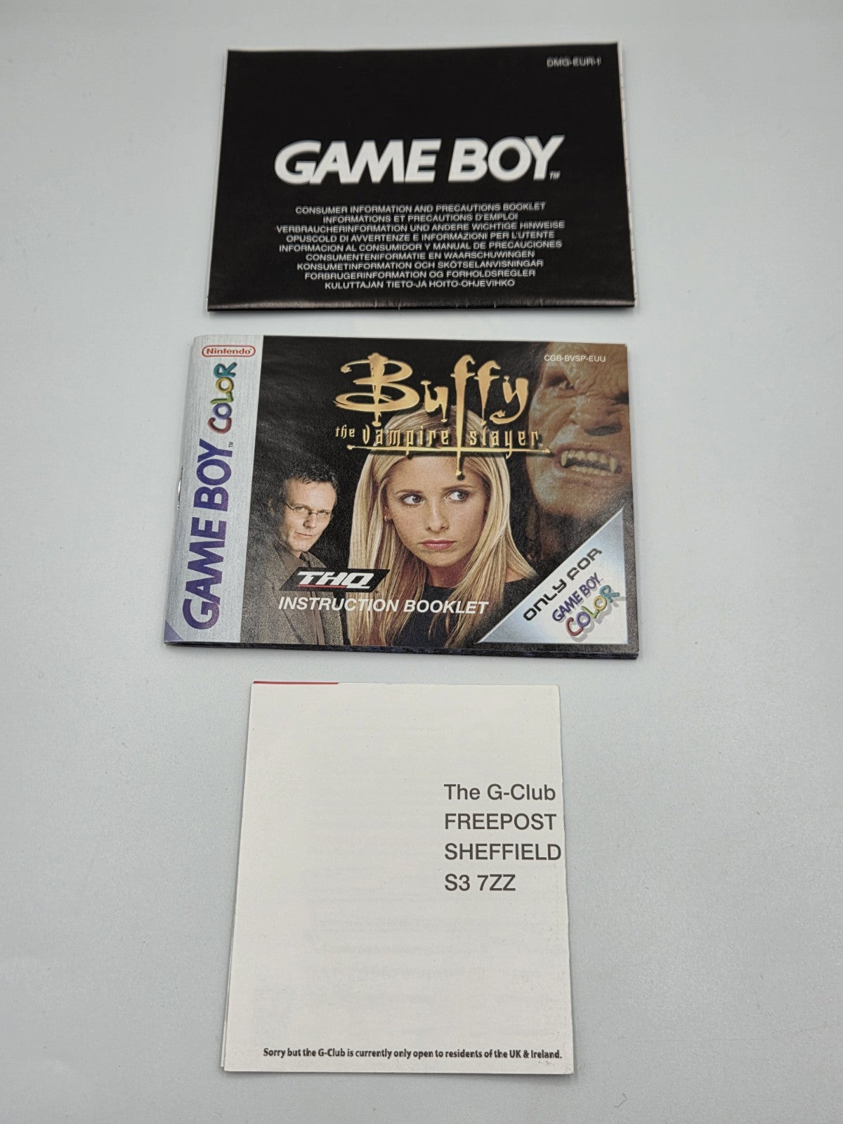 Nintendo Game Boy Color Buffy The Vampire Slayer mit OVP und Anleitung EUR