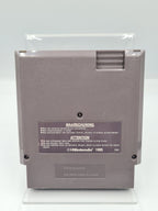 Nintendo NES Spy VS Spy Modul EEC - T-Retro-Games 