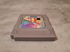 Nintendo Gameboy Classic The Addams Family Pugsley's Scavenger Hunt Modul NOE - T-Retro-Games 