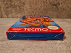 NES Tecmo World Wrestling mit OVP und Anleitung NOE - T-Retro-Games 