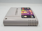 SNES Super Nintendo Dragon's Lair Modul NOE - T-Retro-Games 
