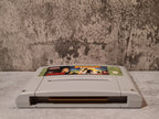 SNES Super Nintendo Prehistorik Man Modul EUR - T-Retro-Games 