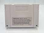 SNES Super Nintendo The Ren & Stimpy Show Veediots! Modul UKV - T-Retro-Games 