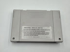 SNES Super Nintendo Beethoven The Ultimate Canine Caper! mit OVP + Anleitung NOE