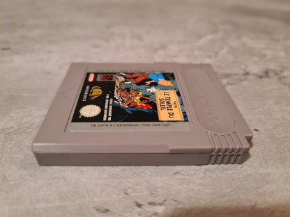 Nintendo Gameboy Classic Spiel TinTin Le Temple Du Soleil Modul FAH - T-Retro-Games 