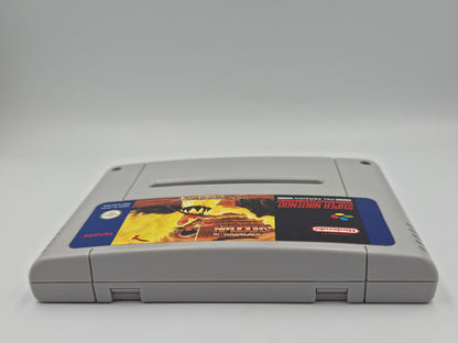 SNES Super Nintendo Samurai Shodown NOE Modul