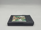 Nintendo Game Boy Color Spiel Stranded Kids Modul EUR