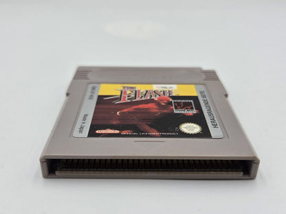 Nintendo Game Boy Classic Spiel The Flash Modul NOE - T-Retro-Games 