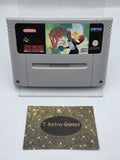 SNES Super Nintendo Michael Jordan Chaos In The Windy City Modul UKV - T-Retro-Games 