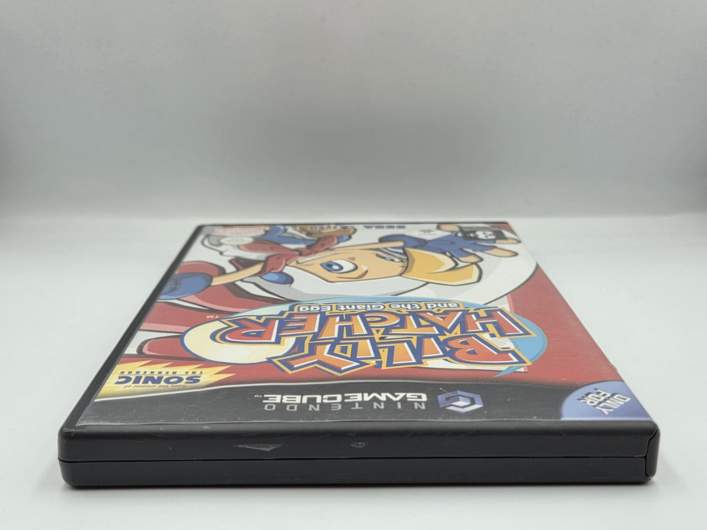 Nintendo GameCube Billy Hatcher and the Giant Egg mit OVP und Anleitung NOE - T-Retro-Games 