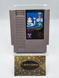 Nintendo NES Gyromite Modul FRA - T-Retro-Games 