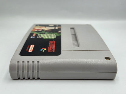 SNES Super Nintendo Frank Thomas Big Hurt Baseball Modul EUR