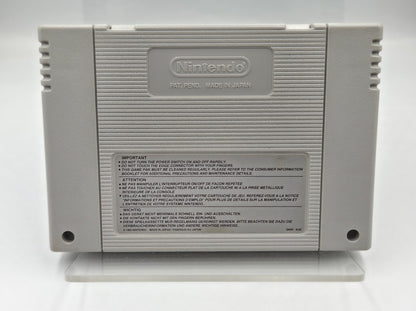 Super Nintendo Donkey Kong Country 3 Dixie Kong's Double Trouble! Modul EUR
