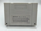 SNES Super Nintendo Dennis Modul UKV