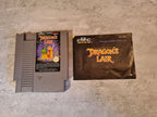 NES Dragon's Lair mit OVP und Anleitung SCN - T-Retro-Games 