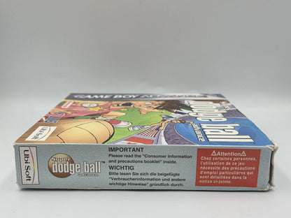 Nintendo Game Boy Advance Super Dodge Ball Advance mit OVP und Anleitung EUR