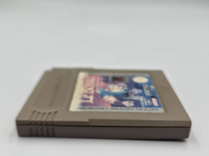 Nintendo Game Boy Classic Spiel Le Bossu Super Hunchback Modul FAH