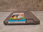 NES Disney Adventures in The Magic Kingdom mit OVP und Anleitung SCN - T-Retro-Games 
