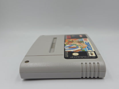 SNES Super Nintendo Spiel Asterix & Obelix Modul NOE