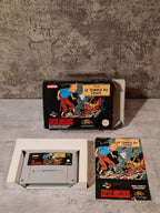SNES Super Nintendo TinTin Le Temple Du Soleil mit OVP und Anleitung FAH - T-Retro-Games 