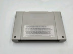 SNES Super Nintendo Harvest Moon mit OVP und Anleitung AUS