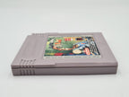 Nintendo Game Boy Classic Spiel Earthworm Jim Modul EUR - T-Retro-Games 