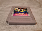 Nintendo Gameboy Classic Prehistorik Man Modul EUR - T-Retro-Games 