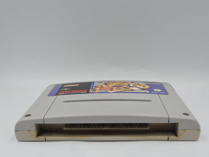 SNES Super Nintendo Spiel Street Fighter II 2 Turbo NOE Modul