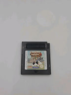 Nintendo Game Boy Color Spiel Harvest Moon 2 mit OVP und Anleitung NOE