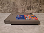 Nintendo NES Ghost N Goblins Modul EEC - T-Retro-Games 