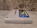 SNES Super Nintendo Sensible Soccer European Champions Modul FAH - T-Retro-Games 