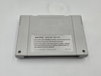 SNES Super Nintendo Spiel Darius Twin mit OVP und Anleitung NOE 