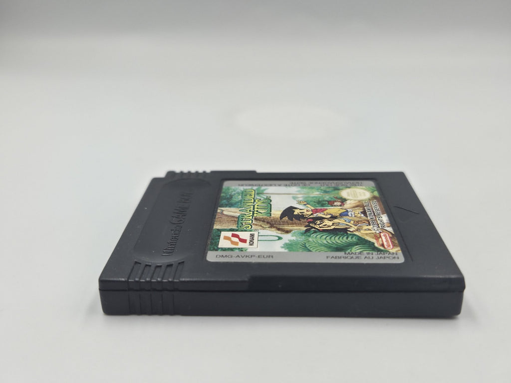 Nintendo Game Boy Color Spiel Stranded Kids Modul EUR