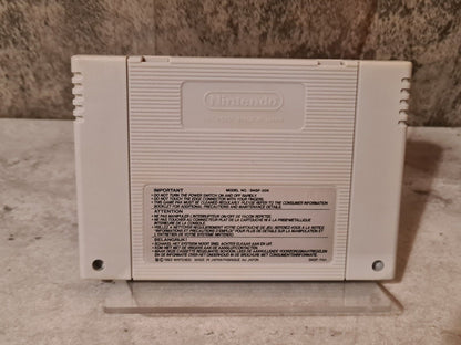 SNES Super Nintendo The Addams Family FAH Modul - T-Retro-Games 