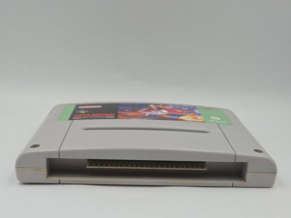 SNES Super Nintendo Disney's Aladdin NOE/SFRG Modul