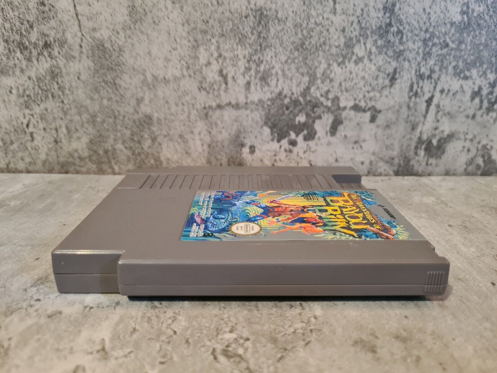 Nintendo NES The Adventures of Bayou Billy Modul FRA - T-Retro-Games 