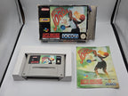 Super Nintendo Michael Jordan Chaos in the Windy City mit OVP und  Anleitung NOE