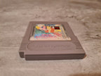 Nintendo Gameboy Classic The Addams Family Pugsley's Scavenger Hunt Modul NOE - T-Retro-Games 