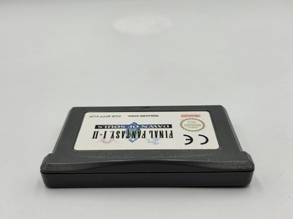 Nintendo Game Boy Advance Final Fantasy I & II Dawn of Souls Modul EUR
