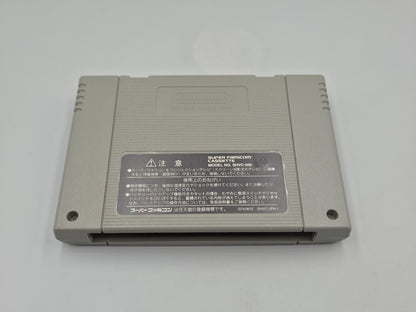 SFC Super Famicom Rockman & Forte Mega Man & Bass mit OVP und Anleitung Japan