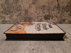 Sega Master System Miracle Warriors mit OVP Multi Language - T-Retro-Games 