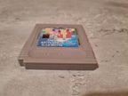 Nintendo Gameboy Classic The Addams Family Pugsley's Scavenger Hunt Modul USA - T-Retro-Games 