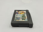 Nintendo Game Boy Advance Lady Sia Modul EUR