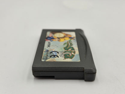 Nintendo Game Boy Advance Lady Sia Modul EUR