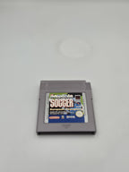 Game Boy Classic Sensible Soccer European Champions mit OVP und Anleitung NOE