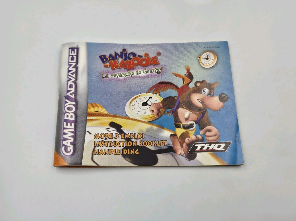 Game Boy Advance Banjo Kazooie La Revanche de Grunty mit OVP und Anleitung FAH