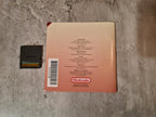 Nintendo DS Big Brain Academy mit OVP und Anleitung EUR - T-Retro-Games 