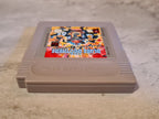 Nintendo Game Boy Classic Spiel The Blues Brothers Jukebox Adventure Modul FRG - T-Retro-Games 