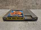 Nintendo NES Tecmo World Wrestling Modul FRA - T-Retro-Games 